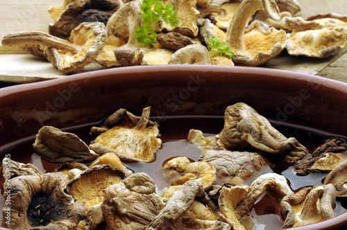 Kuivatut sienet Dried mushrooms Getrocknete pilze Funghi secchi Szárított gomba Champignons séchés Suszone grzyby