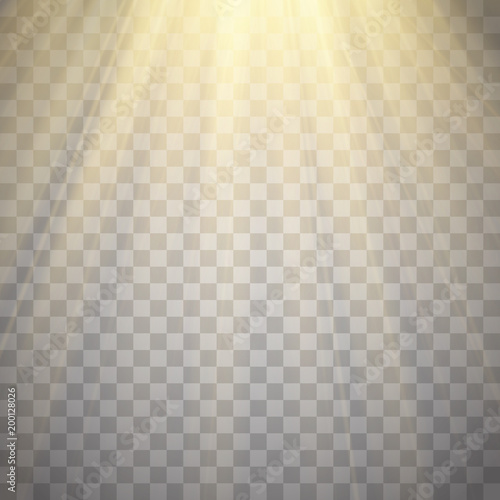 Rays of light isolated on transparent background. Golden spotlight. Sun flash. Vector illustration