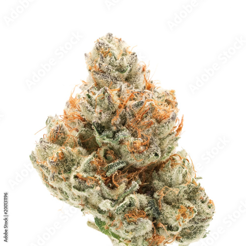 Afghani Sugar Glue - Medical Cannabis Weed Bud