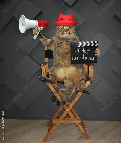 The cat director in a red hat with a megaphone and a clapperboard sits on the chair.