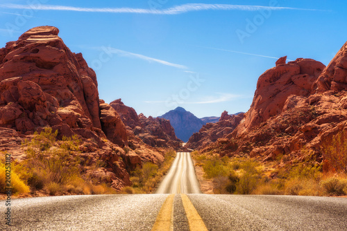 Road running through the Valley of Fire in Nevada