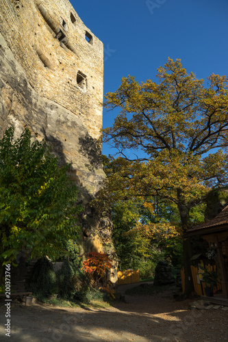 Ruins of Valecov Castle, Central Bohemian Region, Czech Republic.