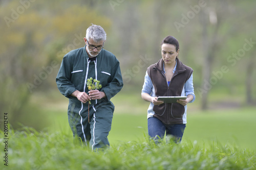 Farmer with agronomist walking in agricultural field