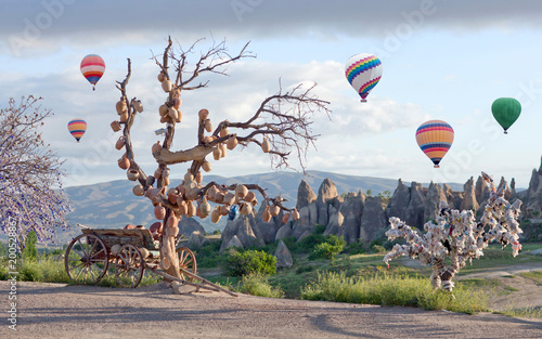 Tree Of Wishes and Colorful hot air balloons flying over unique geological formations in Cappadocia, Anatolia, Turkey