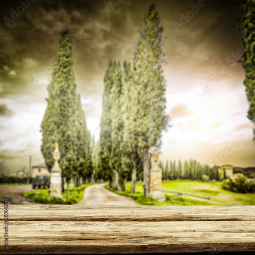 Spring background of tuscany and free space for your decoration. 