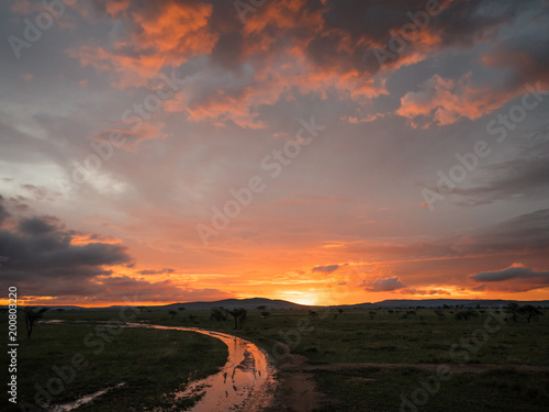 Sun down savanna Africa Serengeti orange tint