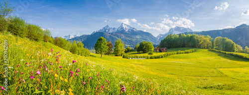 Idyllic landscape with blooming meadows and mountain peaks in the Alps in springtime