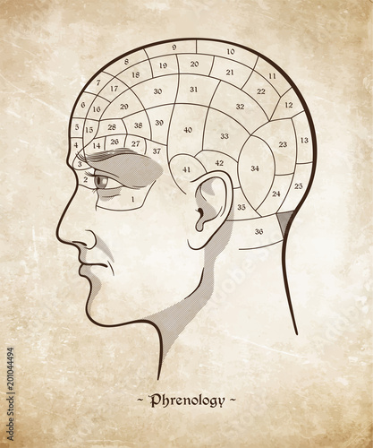 Phrenology retro pseudoscience poster or print design over grunge paper background hand drawn vector illustration.