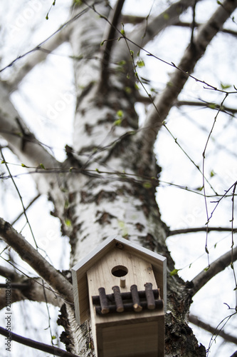 Domek dla ptaków na drzewie 