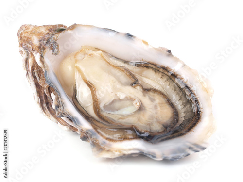 Fresh oyster