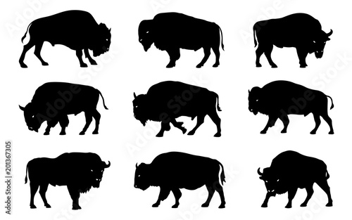 bison silhouettes 2018