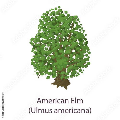 American elm icon. Flat illustration of american elm vector icon for web