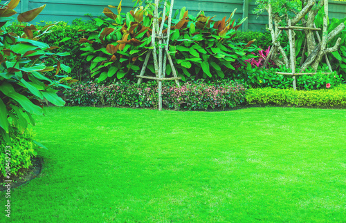 Green lawn, The front lawn for background, Garden landscape design, Backyard for background