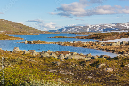 Magnificent view of a mountain plateau Hardangervidda with numerous lakes and rivers in summer time on snow mounts background, Norway national park