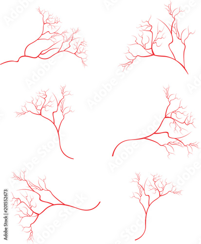 Human eye veins, vessel, blood arteries isolated on white vector. Set of blood veins, image of health red veins illustration.