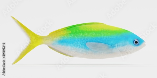 Realistic 3D Render of Yellowback Fusilier