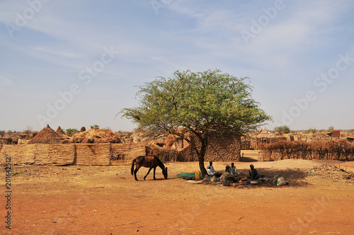 Village on the area of the Sahara desert in north Chad 
