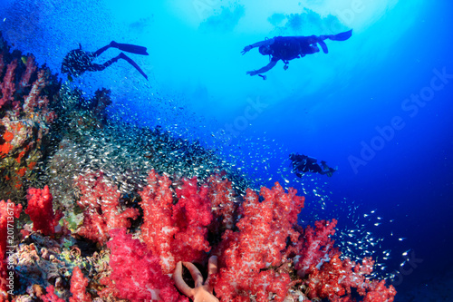 Silhouette of SCUBA divers swimming over a colorful, healthy tropical coral reef