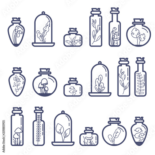 Set of different terrarium bottles with grass and mushrooms. Flat outline vector illustration