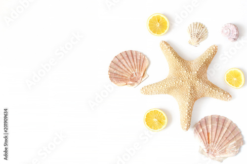 Composition of exotic seashells, oyster, starfish and lemon slices on white wooden background. Tropical summer vacation or sea food concept. Flat lay, top view. Marine design.
