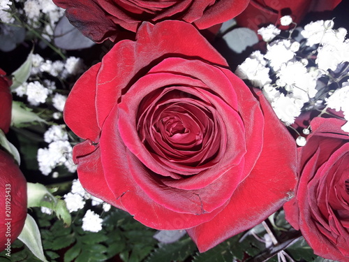 Ramo de rosas rojas con paniculata