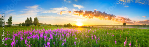 panorama rural landscape with sunrise and blossoming meadow