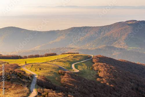 French landscape - Vosges. View from the Grand Ballon in the Vosges (France) towards the Jura and Alps in the early morning.