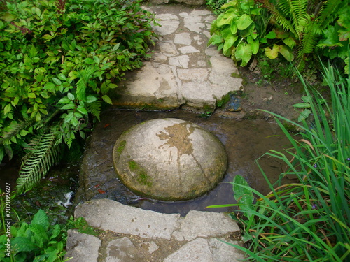 mall stream with many green plants on the shore, with a hemispherical stepping stone in the middle to bridge an interrupted cobbled path