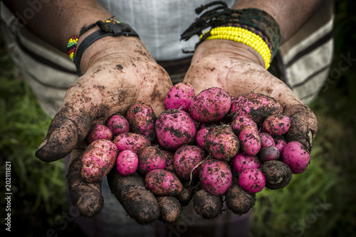 Manos campesinas de colombia y latinoamarica por un buen campo 