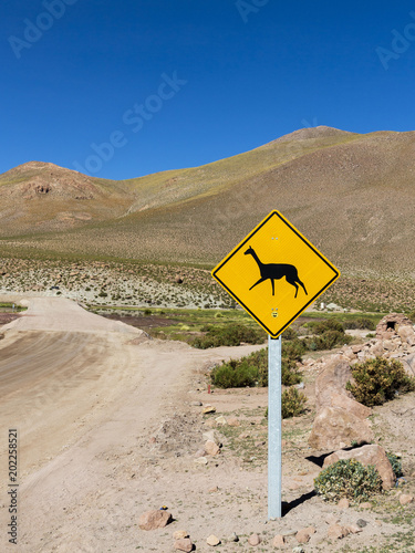 llama road sign at atacama desert