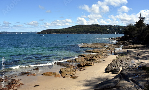 Delwood beach on a sunny day in summer. Dobroyd Head in the background. View from Fairlight Walk, Esplanade Park, which is part of the Manly to Spit Bridge Walkway.
