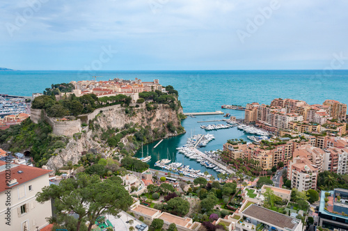 Palace of Monaco seen from the exotic garden