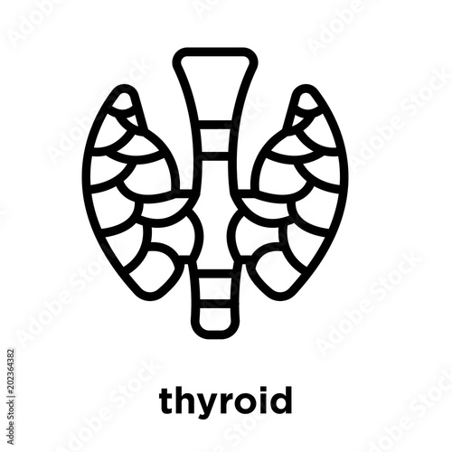 thyroid icon isolated on white background