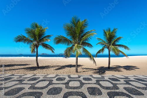 Famous Ipanema Mosaic Sidewalk With Palm Trees in the Beach, in Rio de Janeiro, Brazil