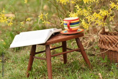 Książka i filiżanka na stoliku w ogrodzie