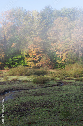 Slightly foggy autumn morning with small stream running through a green meadow.