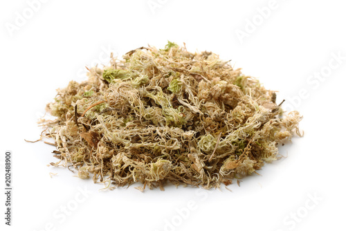 Pile of dry sphagnum moss