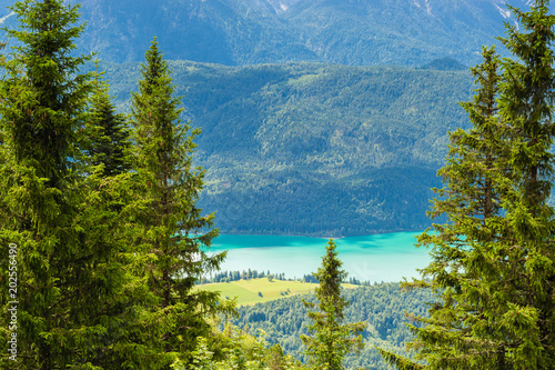 Blick vom Herzogstand auf den Walchensee in den Alpen in Deutschland