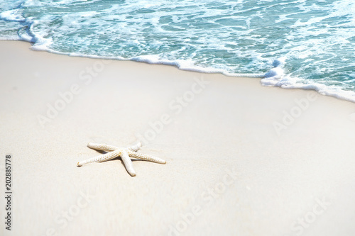 Starfish on the beach sand and blur sea background, Concept summertime on beach