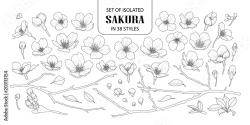 Set of isolated sakura in 38 styles.