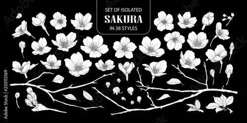 Set of isolated white silhouette sakura in 38 styles.
