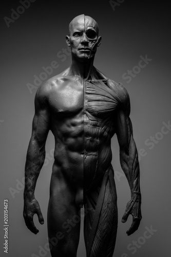 Anatomia mężczyzny