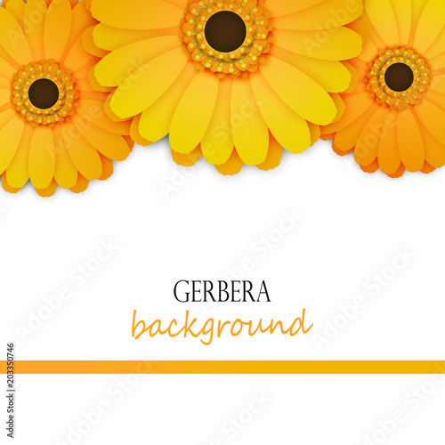 Floral background with yellow gerbera