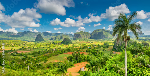 Viñales Valley with the Sierra de los Organos mountains in the background