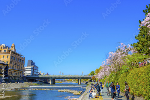 桜と川を眺める人々