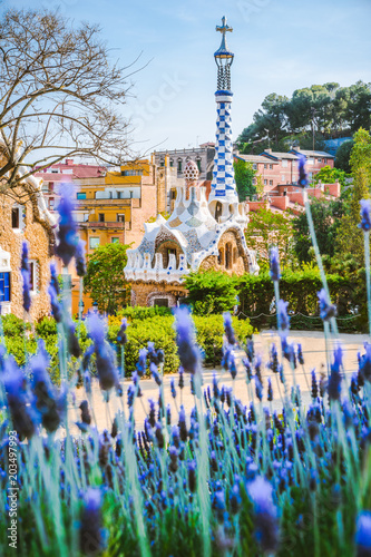 Colorful mosaic building in Park Guell. Violet lavender flower in foreground. Evening warm Sun light, Barcelona, Spain