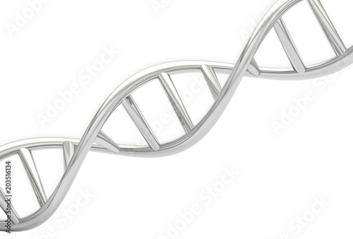 ADN chromer génétique