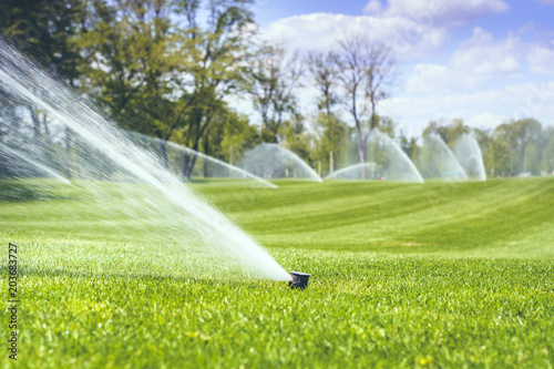 watering a green grass against a blue sky with clouds