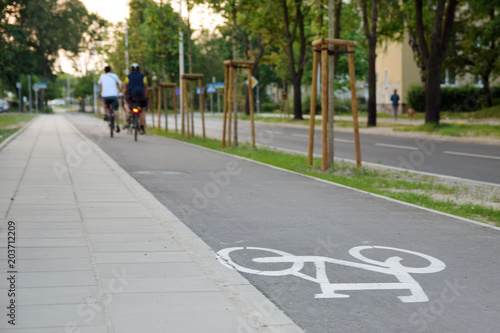Bicycle road sign on asphalt. Ciąg pieszo-rowerowy.