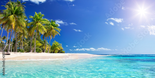 Palm Beach In Tropical Paradise - Guadalupe Island - Karaiby